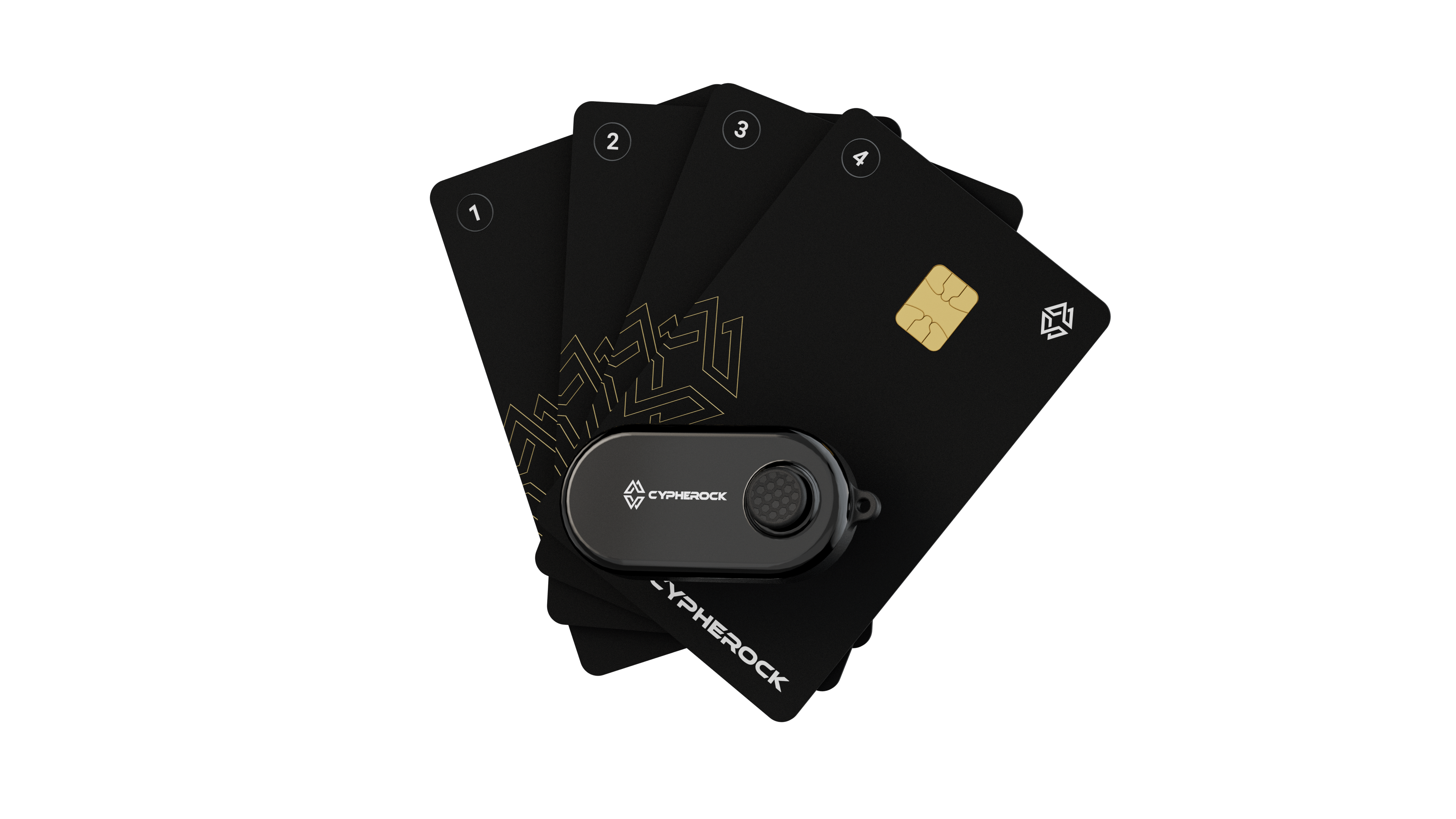 D'CENT Biometric Cold Wallet – Your keys, Your cryptos