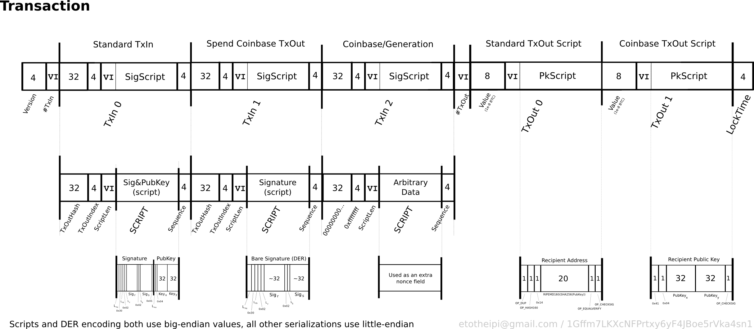 Field scripts. Transaction script. Transaction structure Bitcoin. Txin.